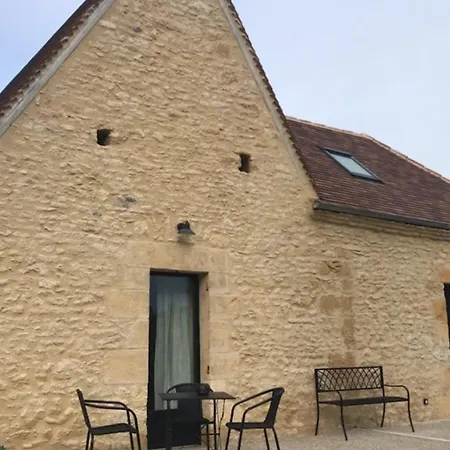 Tatil Evi Maison En Pierres Au Coeur Du Perigord, 10 Personnes, Charme Authentique - Fr-1-616-508 *